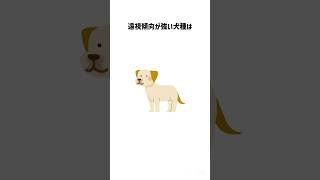 【犬に関する雑学】 #funny #雑学 #犬 #dog #トリビア #豆知識 #動物