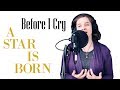 Before I Cry | A Star is Born | Lady Gaga Cover | Anita and Melannie Music