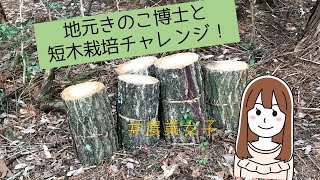 きのこ短木栽培とは？作り方を教えてもらいました