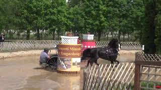 Kristóf OSZTERTÁG (HUN) - CAI-A**, H2, Mezőhegyes (HUN) marathon driving, obst. Nr. 7, 04.05.2019