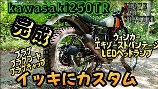 【250TR】ヤフオクで買ったバイクが完成したっぺよ！【カスタム】