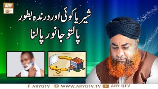 Qurbani Say Pehle Shave Karna | Islamic Information | Mufti Muhammad Akmal | ARY Qtv