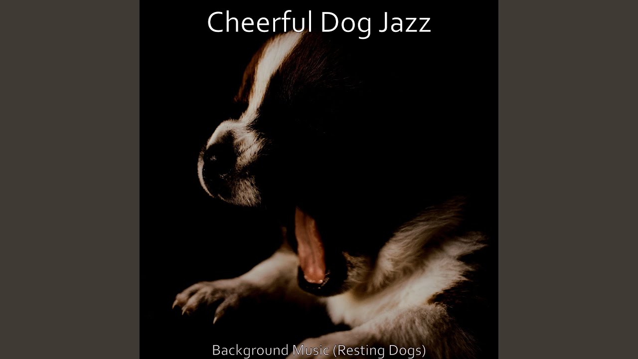 Caring Dogs Housepetscare