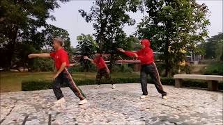 Yang Style Tai Chi Quan 9 Forms, Standard and Traditional Mixing Form