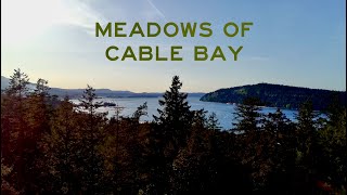 Meadows of Cable Bay