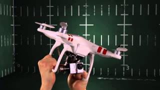 DJI Gimbal vs. Chicken - \