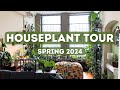 Houseplant Tour | Spring 2024 (200+ Plants)