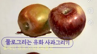 oilpainting🍎[수성유화] 사실적으로 사과그리는 방법 🎨홀베인듀오 수성유화물감