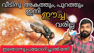 🪰🪰ഈച്ച ശല്യം കൊണ്ട് മടുത്തോ? അടുക്കളയിലും,പുറത്തും ഇനി ഈച്ച വരില്ല|How to get Rid of Flies🪰🪰