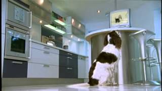 Wagg Pet Foods - TV Advert