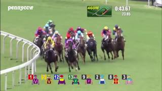 Craziest horse racing DEBUT ever - #6 Pakistan Stars from Last to First!! Hong Kong (2016)