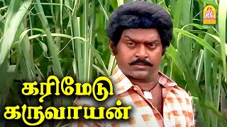 என் தங்கச்சிக்கு சீதனமா கொடுக்க வச்சுருக்கேன் ! -  Karimedu Karuvaayan Movie Scenes | Vijayakanth