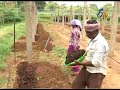 tips for organic vegetable cultivation etv annadata