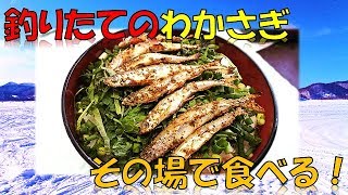 ワカサギを釣ってその場で食べる！　油の使用禁止の場所でもワカサギを美味しく食べるおススメ料理！桧原湖ワカサギ丼