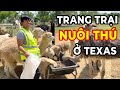 Trang trại nuôi thú của Vương ở Texas - Fast Boy Farm - Vuong101