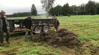 Gathering hay like it's 1800..the rain prevented normal baling so can we salvage it?