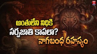 Mystery of Nagabandham | నాగబంధం రహస్యం | Naga Bandham | T News