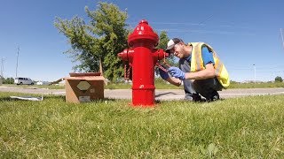 Iowa City Update: Fire Hydrant Painting