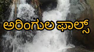 ARINGULA FALLS  VORKADY , in manjeshwara | kasaragod| riski travel|