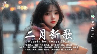 【無廣告】2025抖音最最火 / 二月新歌🍀20首超好聽的流行歌曲：完美戀人，離開，紅塵傷者，她不是你，沉默，單行道，小世界，情已欠費愛已停機，我在這裡