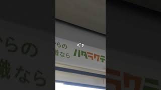 短くて可愛い電車ドアチャイム