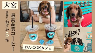 【埼玉 大宮】テラス席は犬連れOKの可愛いカフェ！「Holiday Coffee」で最高品質のコーヒーを♪