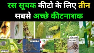 3 Best Insecticide For Thrips | रस चूसक कीटो के लिए 3 सबसे अच्छे कीटनाशक | Agricultural Knowledge📚