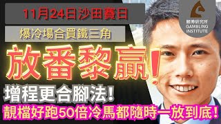 【賽馬貼士】11月24日 爆冷場合買鐵三角｜放番黎贏！｜增程更合腳法！靚檔好跑50倍冷馬都隨時一放到底！