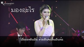 มองอะไร - แจน นันทพร ค้าผล (คลื่นลูกใหม่สุนทราภรณ์) พร้อมเนื้อเพลง