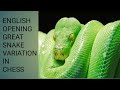 ENGLISH OPENING : GREAT SNAKE VARIATION IN CHESS