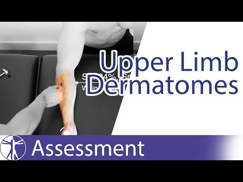 How do you test Dermatomes?