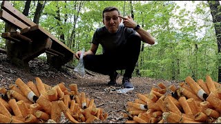 Überall Zigaretten | Wald CleanUp | Müll sammeln im Wald