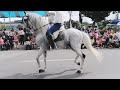 tegucigalpa celebra su 445 aniversario de la capital desfile hípico