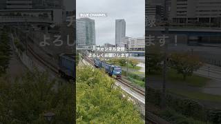 (貨物列車) 2024/11/26 85レ EH200-8 単機 (根岸〜八王子) #Shorts