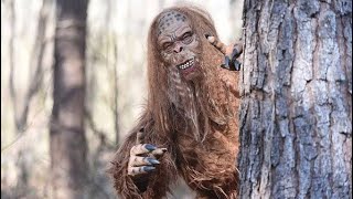 Bigfoot, what do we know?