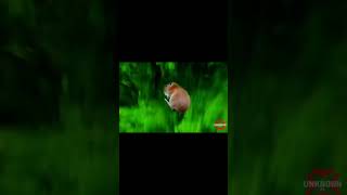 Capybara flying to the universe meme