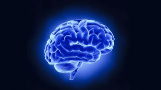 Ultimate Brain Power Activation | Pure 40 Hz GAMMA Binaural Beats (No Music) | Concentration, Focus