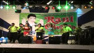 RAUL OLIVARES - BRINDO POR ELLA - En concierto.