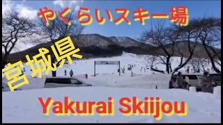 やくらいガーデン､　やくらい  ファミリースキー場、大雪  Yakurai  Garden and Yakurai Family Skiijou, Snowfall #japan #やくらいスキー場