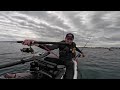 mackerel madness continues offshore kayak fishing gold coast