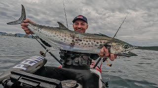 Mackerel MADNESS Continues! Offshore Kayak Fishing, Gold Coast!