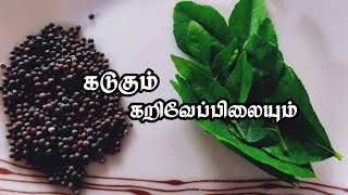 கடுகும் கறிவேப்பிலையும் | ஆற்றோர நாணல் | aatrora Naanal#tamil#motivationalvideo#youtube/