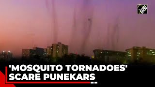 Swarm of mosquitoes form ‘tornado’ over Pune, cause panic among residents