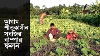 আবহাওয়া অনুকূল থাকায় সবজির বাম্পার ফলন হয়েছে