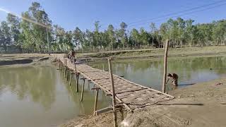 গ্রামের ছোট নদীর উপরে বাঁশের সাঁকো। অসাধারন সুন্দর একটি জায়গা🍃 || #villagebeauty #beautifulplace