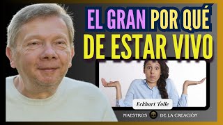 ¿ PARA QUÉ ESTAMOS AQUÍ ? TODO TIENE SENTIDO | ECKHART TOLLE explicado fácil