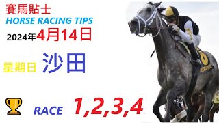 HKJC「賽馬貼士」🐴 2024  年 4  月 14  日 沙田 🐴 香港賽馬貼士 HONG KONG HORSE RACING TIPS 🐴 RACE  1  2 3  4