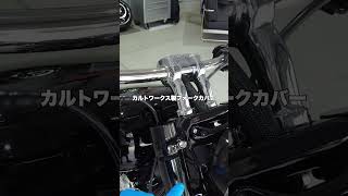 【究極のブレイクアウト117】サンダーバイクカスタムの全貌を公開（前編）  #harleydavidson  #breakout117 #カスタム