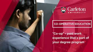 Curious about co-op?