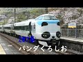 jr阪和線【r】山中渓【jr r50】駅 発着＆通過集2020年度の桜。令和最初の桜。🌸 18 kedatangan dan keberangkatan dengan kereta api